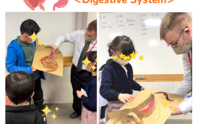 Digestive System