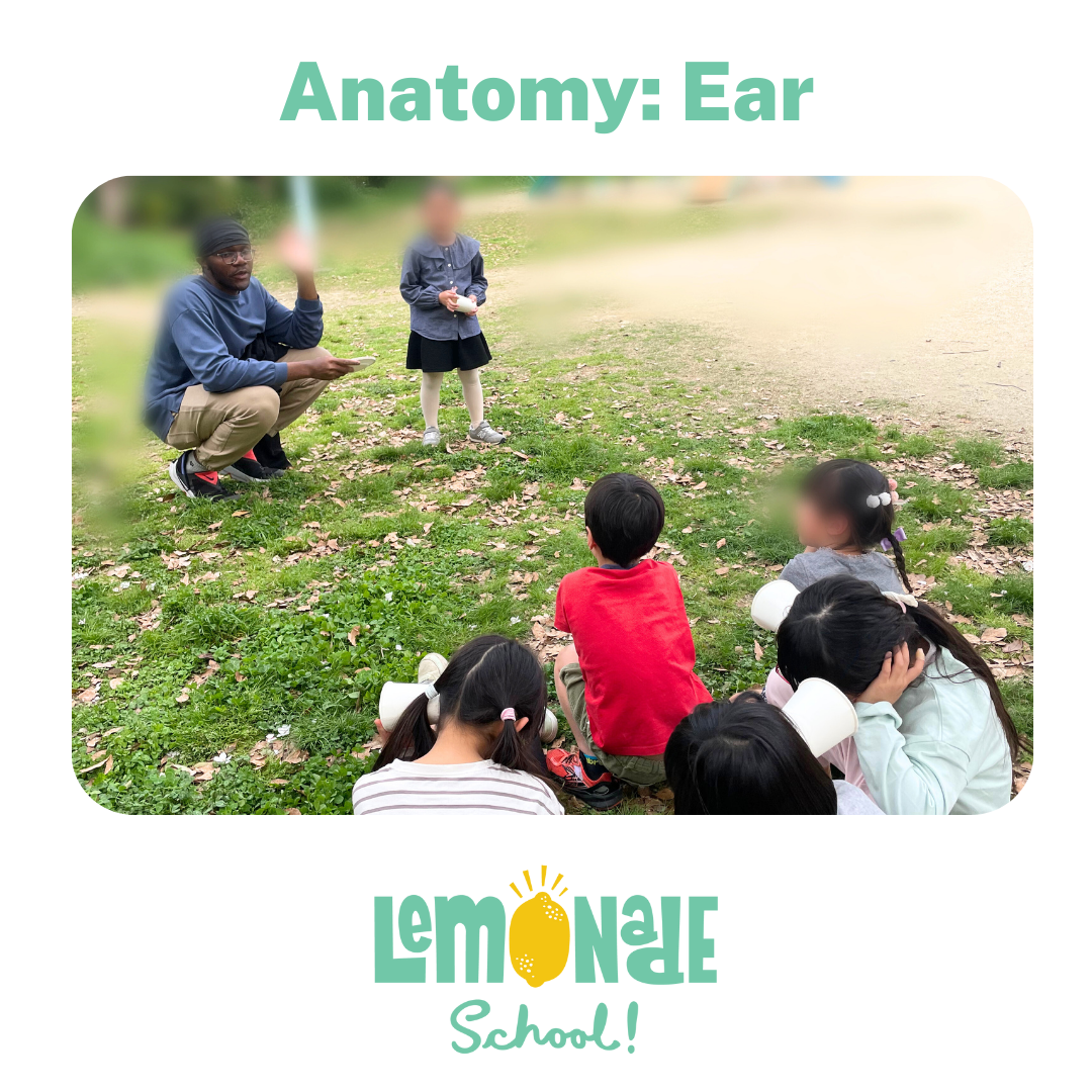 Anatomy: Ear, & Park Fun!