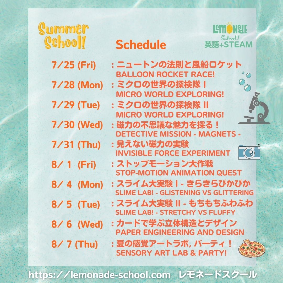 Summer School 2024