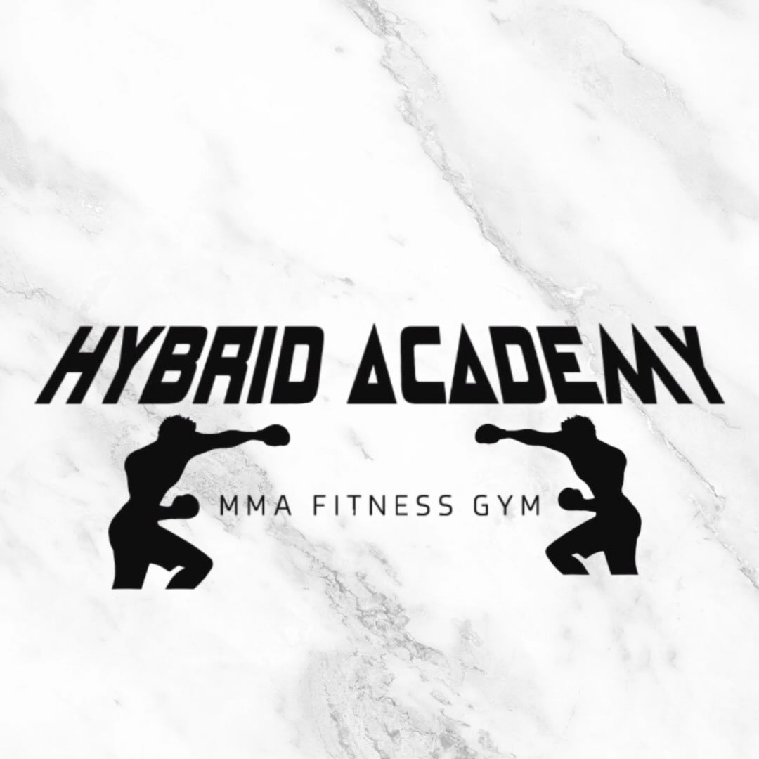 Hybrid Academy 2